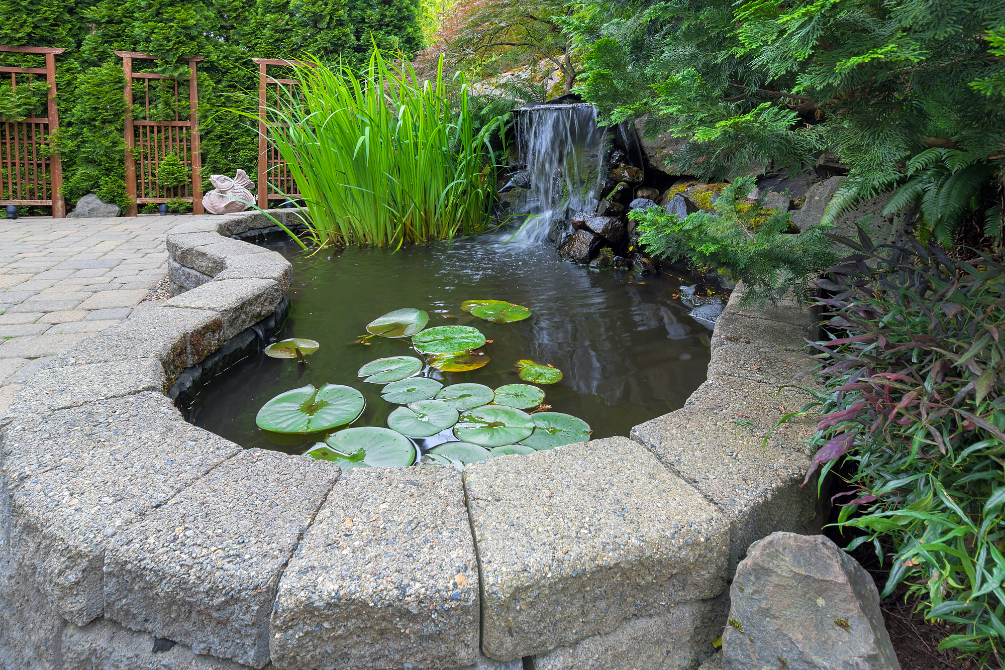 Hardscaped Pond